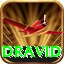 dravid - 1
