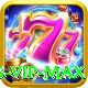 Omni Slots - VIP Max